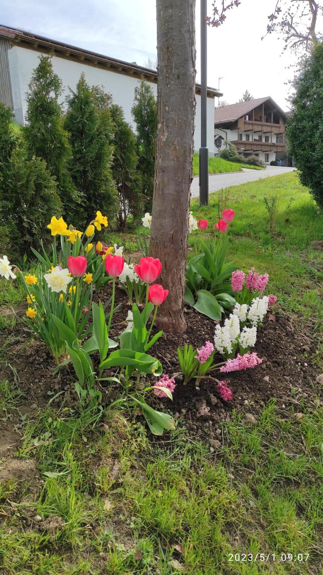 Ferienhaus Am Bach Achslach Esterno foto